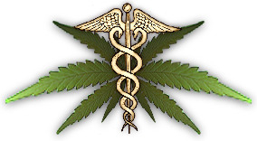 Subjective Review of the Medicinal Cannabis Masterclass 2012